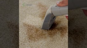 Моющий пылесос KIWI KCC-4320 для химчистки ковров, мягкой мебели, салона авто... (квадрат)