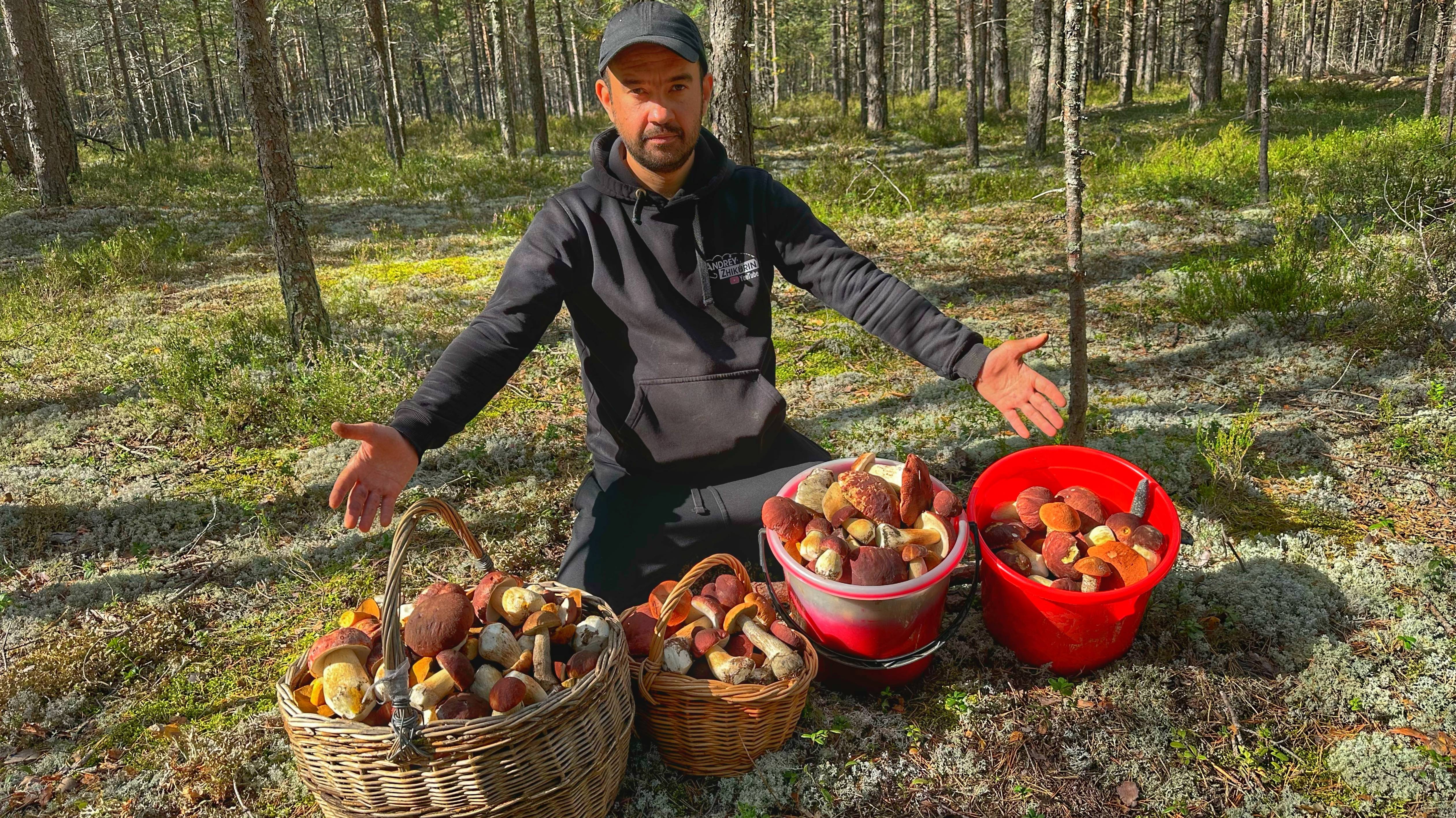 СУПЕР ОХОТА! БОРОВИКИ И МОХОВИКИ ИДУТ В НАСТУПЛЕНИЕ | ВЕСЬ СОСНОВЫЙ БОР ЗАВАЛЕН ГРИБАМИ! ГРИБЫ 2022 смотреть онлайн