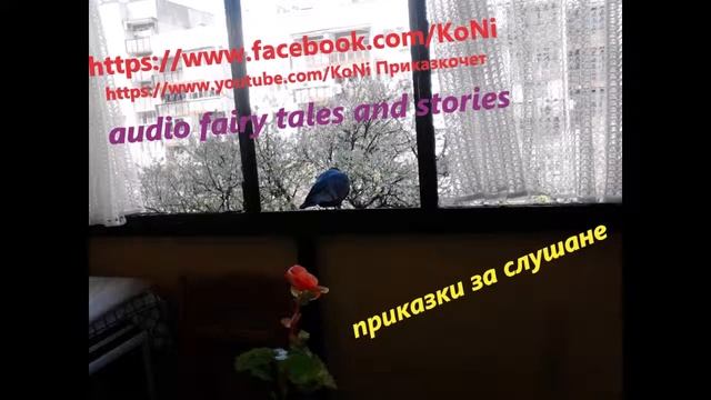 ЕЛИН ПЕЛИН-"ГЛУПАВИЯТ ВЪЛК" /приказки/изп. Корнелия Николова/#KoNiприказкочетChannel смотреть онлайн