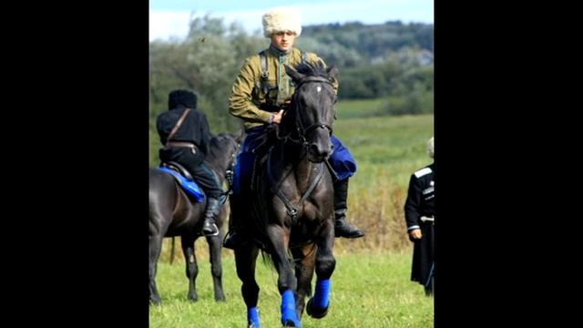 Конный праздник в Витославлицах смотреть онлайн