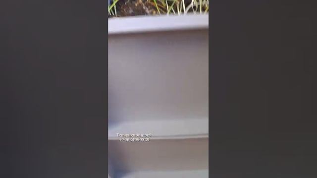 АВ132 плесень в вермикомпостере вредна или нет вермизакваска #ткаченкочерви #вермикомпост ав132 смотреть онлайн