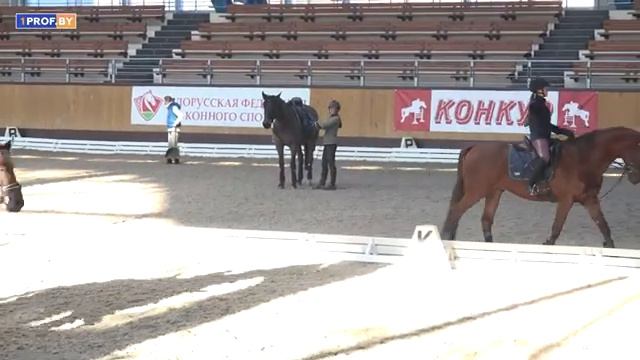 Встреча в Ратомке. Продолжаем обсуждать Конституцию вместе смотреть онлайн