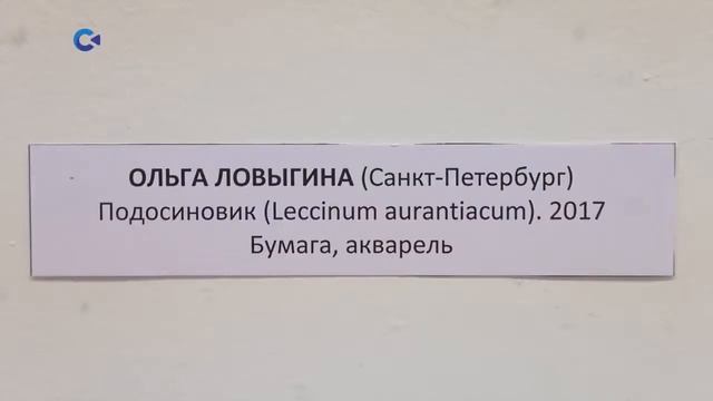 Выставка Растения глазами художников в Петрозаводске смотреть онлайн