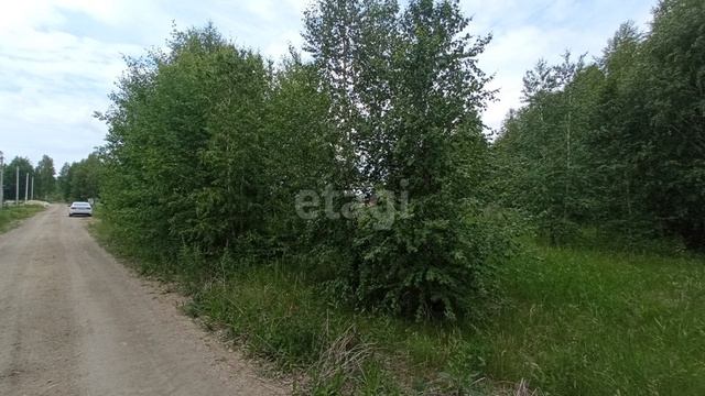 9577058 смотреть онлайн