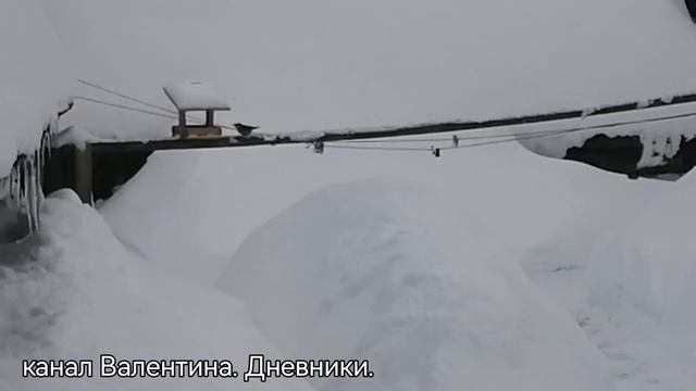 354 Покормите птиц зимой. Пусть со всех концов, к Вам слетятся, как домой, стайки на крыльцо. смотреть онлайн