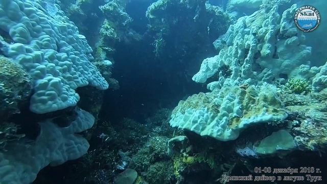 2018_12_01-08 - Брянский дайвер в лагуне Трук смотреть онлайн