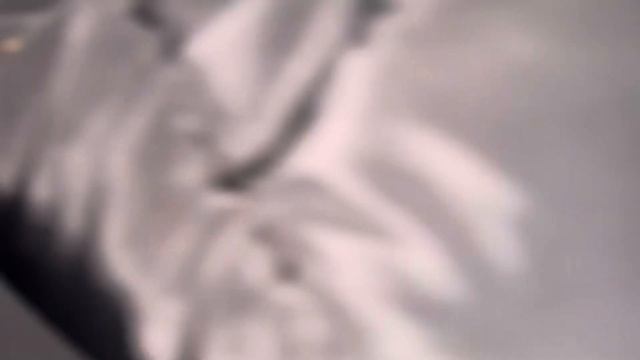 Leo de la Strehaia și Olga cu șatra iei la icoana făcătoare de minuni! смотреть онлайн