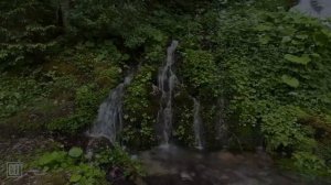 Наполни свое сердце радостью и уверенностью в том, что Бог бесконечно заботится о тебе.