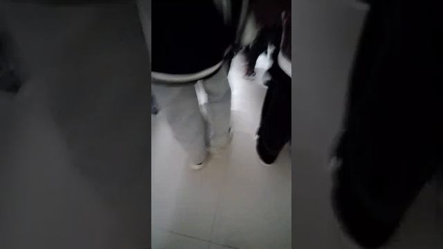 ПОЖАРНАЯ ТРЕВОГА В ШКОЛЕ!😱 смотреть онлайн