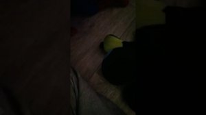 Сколько монеток в банке? #анимация #анукадавайка