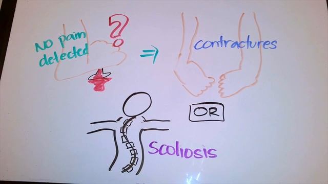 KIN 636 Andermann Syndrome смотреть онлайн