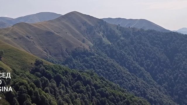 Меседо Original Аварская Песня Группа Эдельвейс Цунта-Бежта