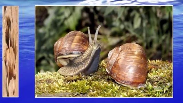 Исповедь работника культуры смотреть онлайн