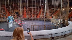 🎪🐅 «Империя львиц». Виталий Смолянец