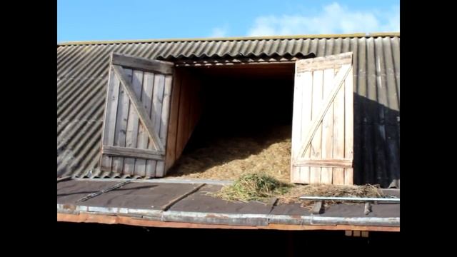 Welcome To Belarusian Village