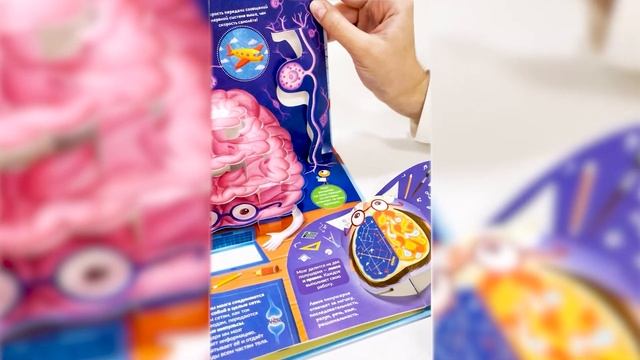 Поп ап энциклопедия Анатомия смотреть онлайн