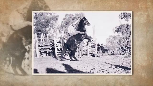 Coonamble Cowboys смотреть онлайн