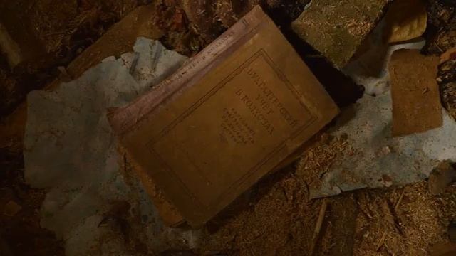 Сталк ( Мертвая Деревня ) смотреть онлайн