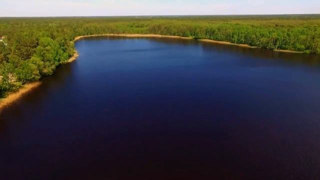 Берестье смотреть онлайн