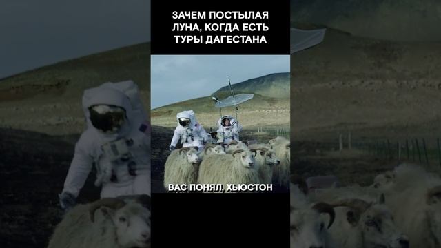 Надоела еда из тюбиков? На помощь придут шашлычные гАстротуры #короткометражка #моментизфильма смотреть онлайн