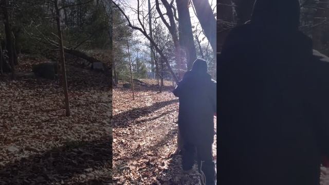 АКМ 47 #сша #иммиграция #ак47 смотреть онлайн