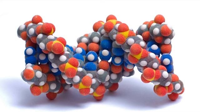 Хоффунг 6.11 смотреть онлайн