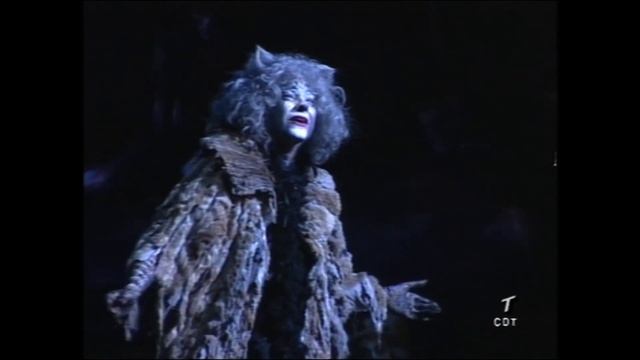 Cats Madrid 2004 Part 4 смотреть онлайн