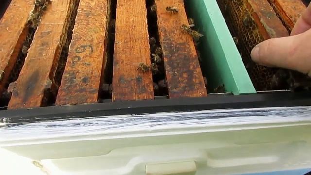 ответы на вопросы по улью биненхаус ( Bienenhaus ) - шести рамочная методика содержания пчел