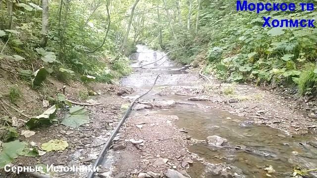 Обзор родника Серных Источников в Холмском районе смотреть онлайн