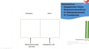 Этапы постановки ориентировочной реакции агглютинации