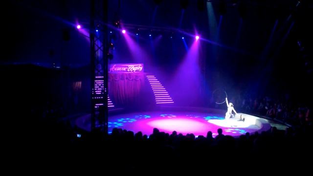 Красноармейск Ангелы цирка 21.05.2016. смотреть онлайн