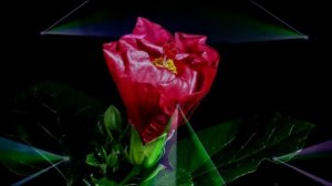 Артур Саянов. Ты не такая как все.