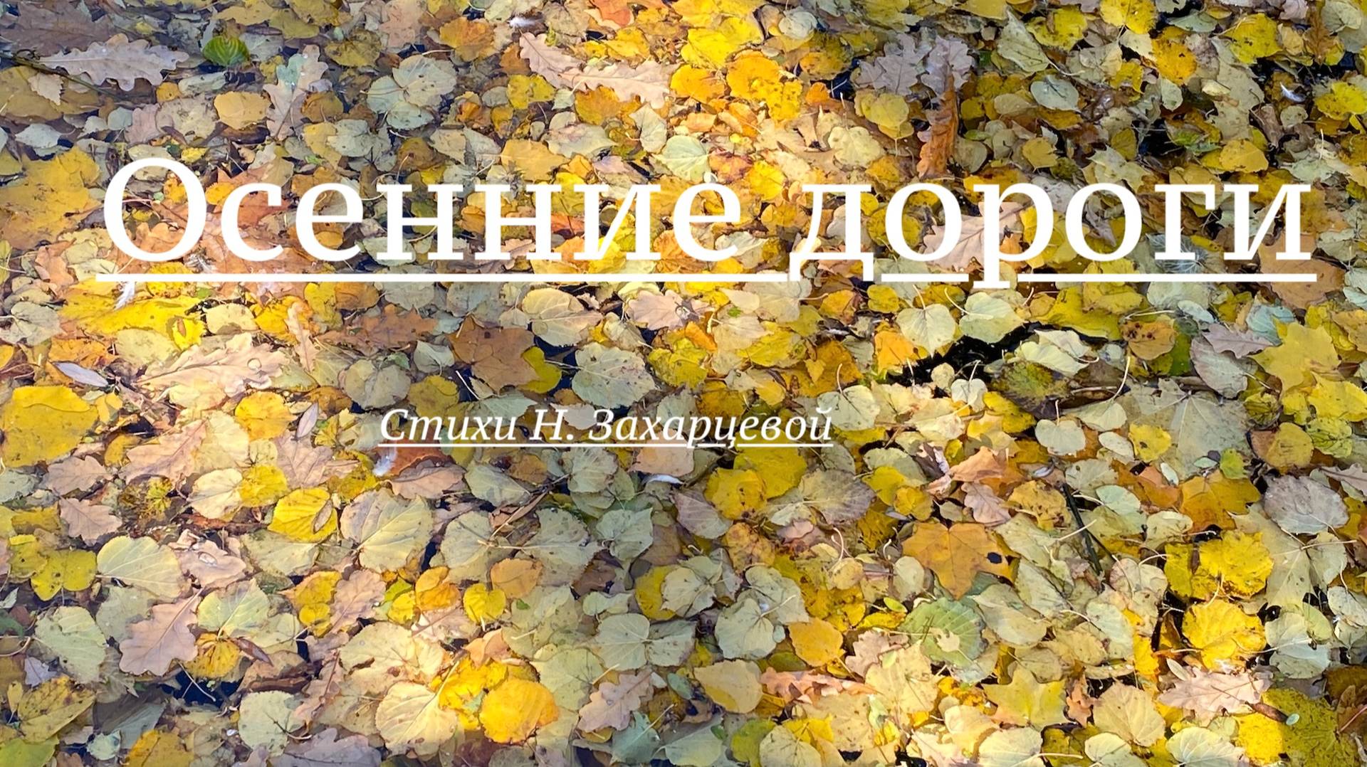 Наталья Захарцева. Стихотворение "Осенние дороги" смотреть онлайн
