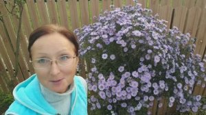 Видео привет с 6 соток в начале октября 2024 года.