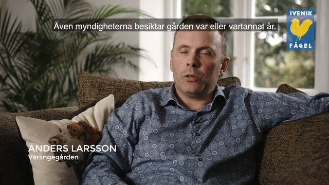 Kolla efter den Gula Pippin! смотреть онлайн
