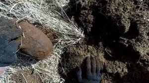 Коп металла рядом с поселком, здесь все еще есть металл