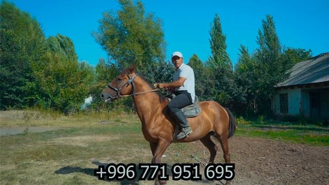 сатылды Ислам аке 15.08.2022 Арзан баада👍🏻👍🏻 смотреть онлайн