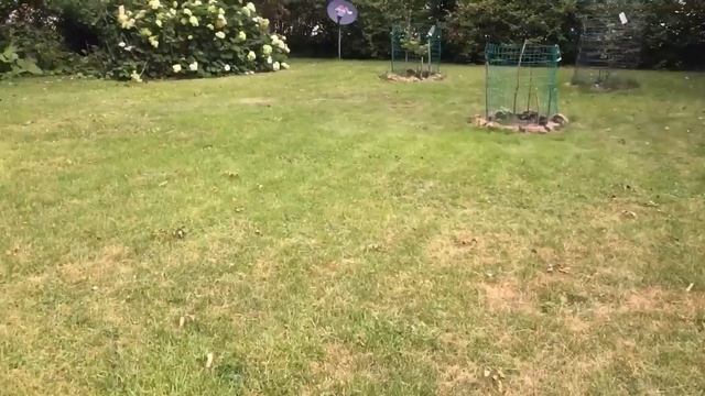 МОЕ ЖЕЛАННОЕ ДЕЖАВЮ _ яды укрепляют иммунитет _ смотреть онлайн