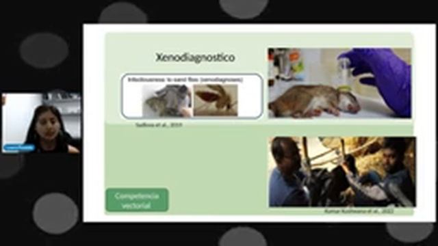 Charla Virtual: Capacidad vectorial, Insectos y enfermedades смотреть онлайн