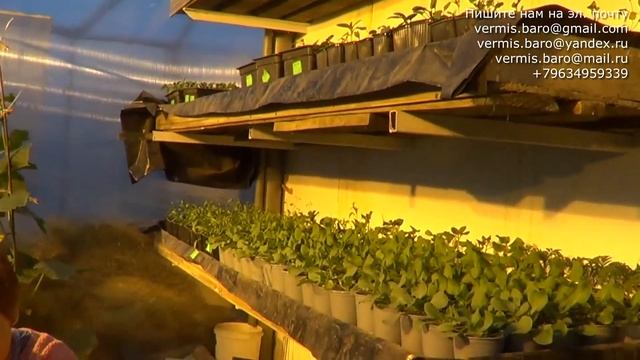 ИП Ткаченко Андрей Сергеевич