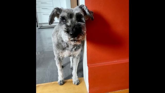 A Curious Vulgar Dictionary смотреть онлайн