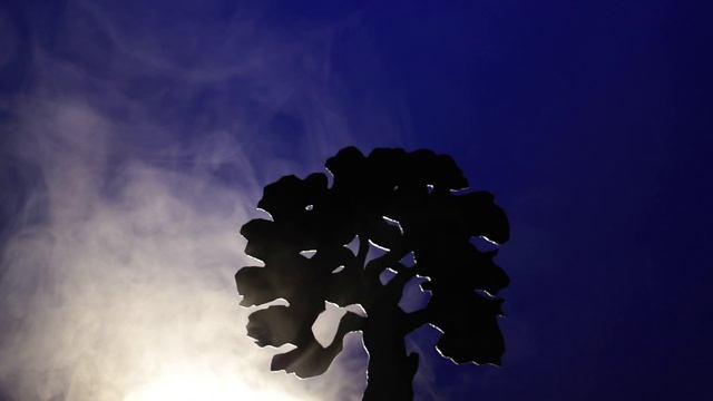 Первая подсказка смотреть онлайн