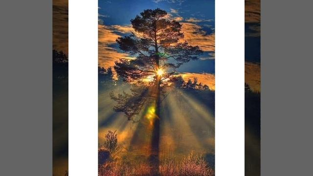 Акс-садо смотреть онлайн