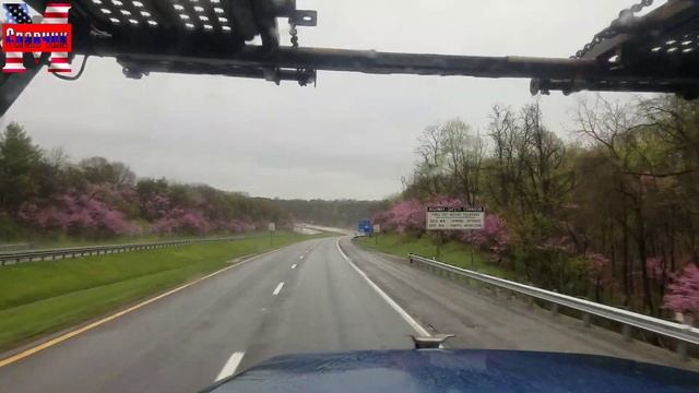 Набережные челны рулит.Дальнобой по США. Жизнь холостяка. Самоизоляция. смотреть онлайн