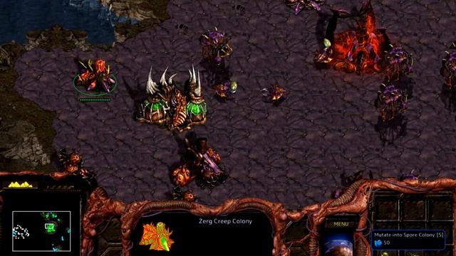 StarCraft Broodwar Remaster Ep 6 - Zerg campaign - Mission 6 - Fury of the Swarm - No Commentary смотреть онлайн