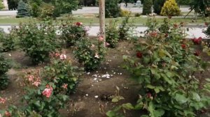 Станица Старощербиновская