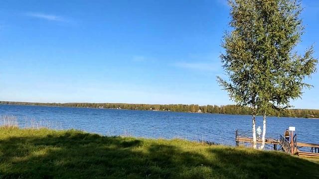 Путешествие в деревню в Костромской области #деревня #путешествия #Кострома #Асташево #travel #осен смотреть онлайн