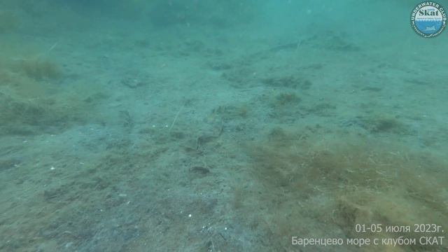 2023_07_01 - 05 - Баренцево море с клубом СКАТ смотреть онлайн