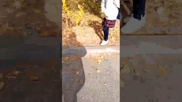 о смотреть онлайн