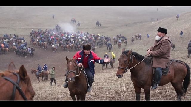 Кара-Кужа рн Ак-Кыя айылынын тургуну Кенешбектен Аламан улак смотреть онлайн